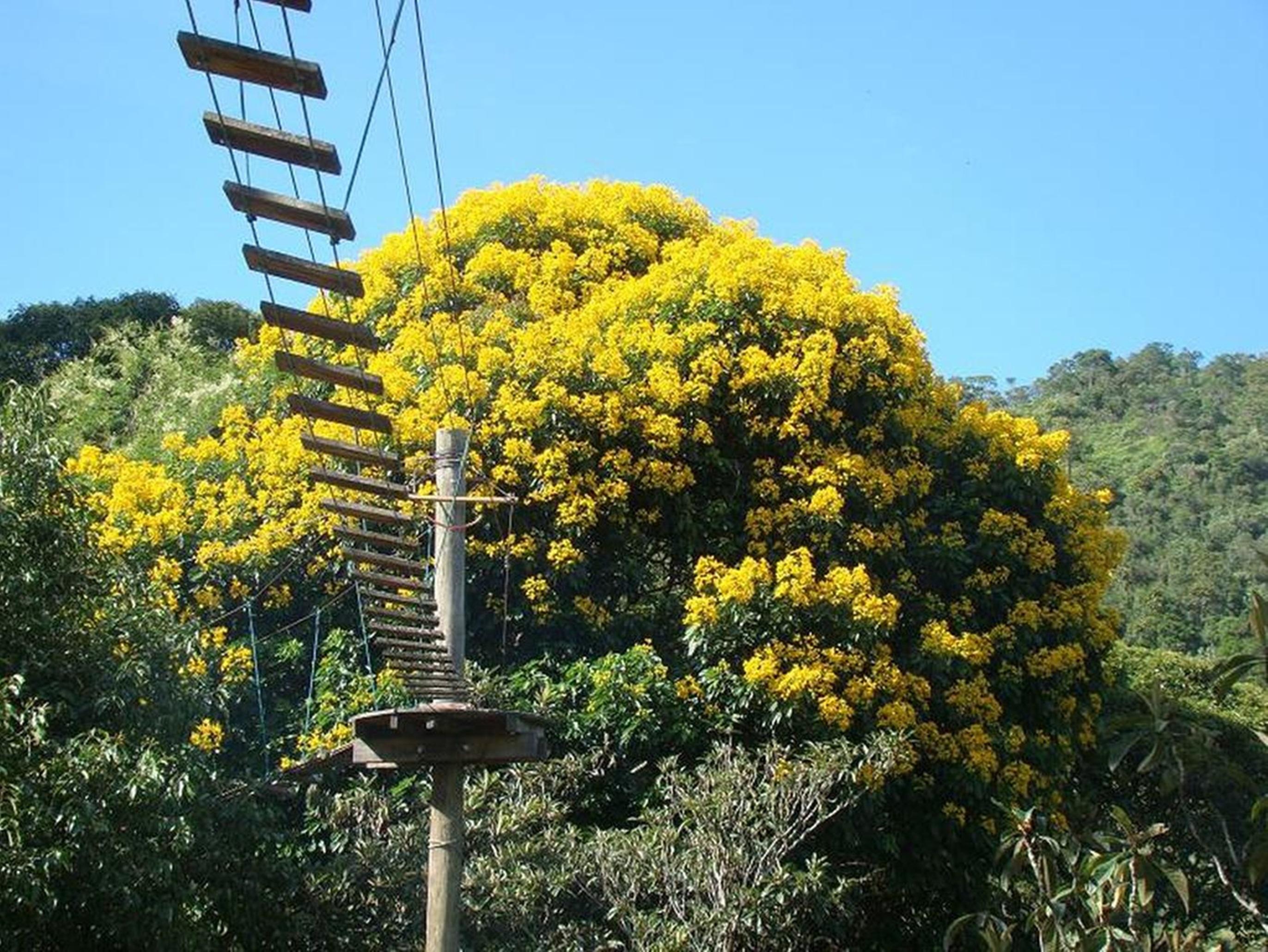 Plaza Caldas Da Imperatriz Resort & Spa Santo Amaro da Imperatriz Zewnętrze zdjęcie